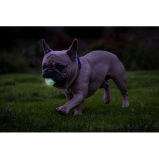 Chuckit Air Glow Fetch Ball - Balle Légère Lumineuse Nocturne