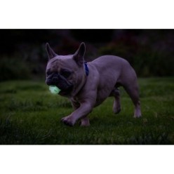 Balles lumineuses Chuckit! Air Glow Fetch S (lot de 2)
