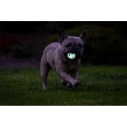 Chuckit Air Glow Fetch Ball - Balle Légère Lumineuse Nocturne