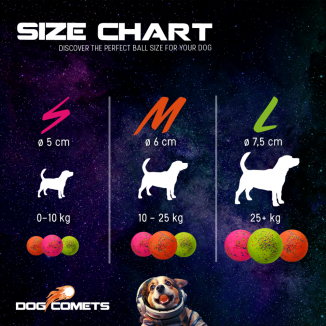 Dog Comets Stardust Orange S - La nouvelle étoile pour votre chien 🌟