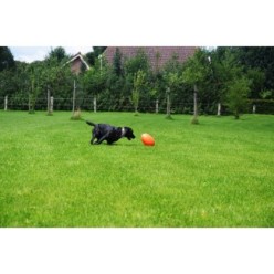 Friandises pour Chiens Dog Comets Pan-Stars Orange M