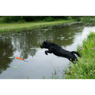 Les Comètes pour Chien Orion Orange - Dog Comets, VN, 1 st, 25.5x10.6x5.4 cm