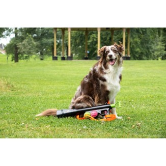 Lanceur de comètes pour chiens Dog Comets - Fun pour votre toutou