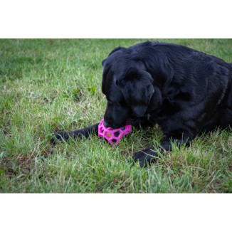 Le Cube de Friandises Dog Comets Moonstone Rose 1 st - Chien