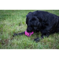 Le Cube de Friandises Dog Comets Moonstone Rose 1 st - Chien