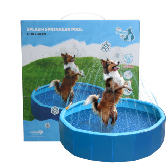 Piscine Arroseur Coolpets Splash - Pour Chiens