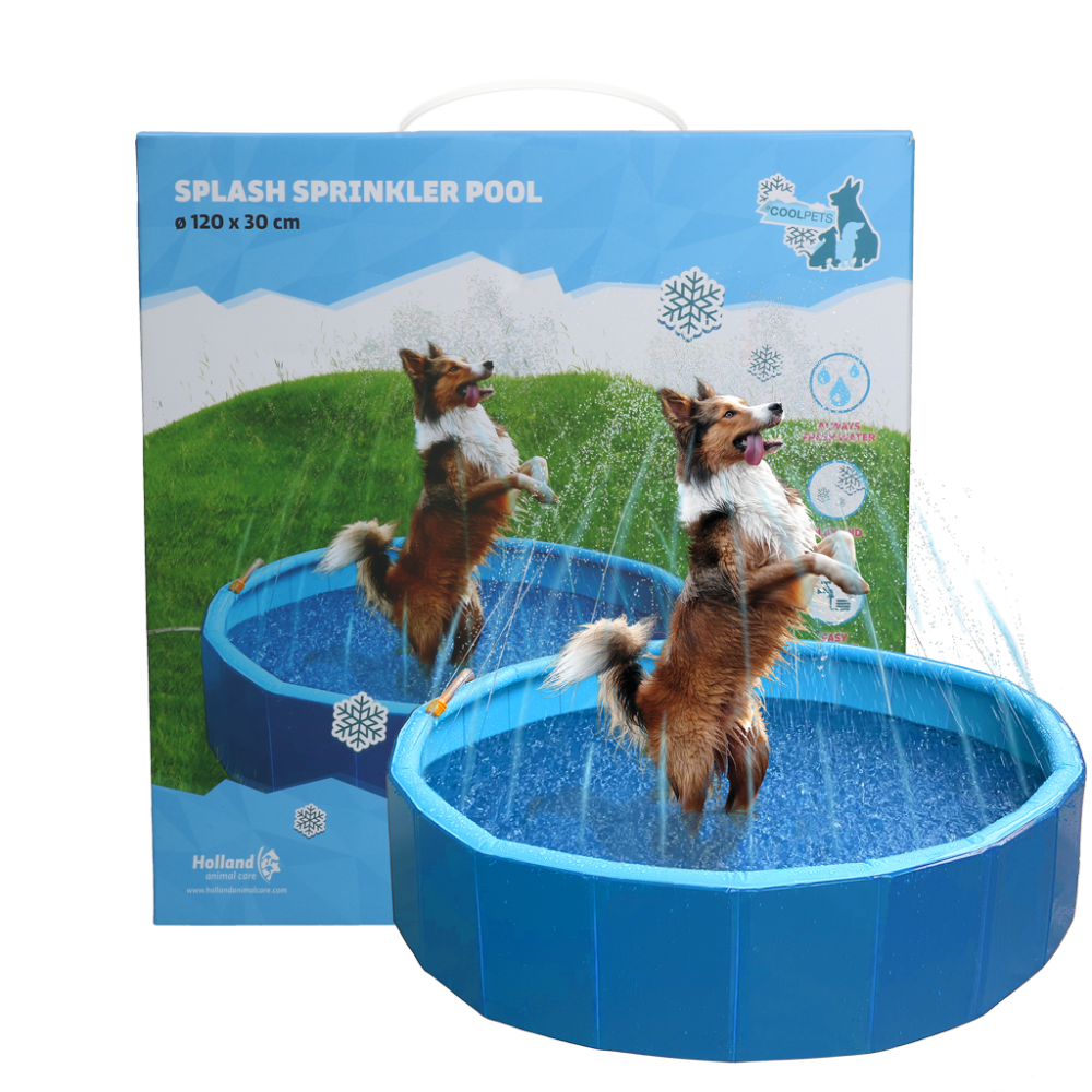 Piscine Arroseur Coolpets Splash - Pour Chiens