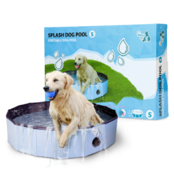 Piscine pour chien CoolPets Splash - Rafraîchissement estival