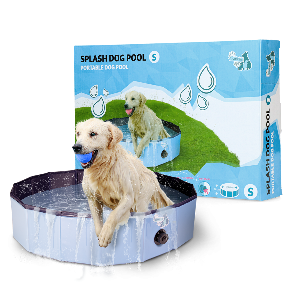 Piscine pour chien CoolPets Splash - Rafraîchissement estival