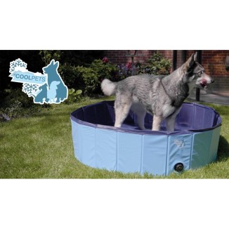 Piscine pour chien CoolPets Splash - Rafraîchissement estival