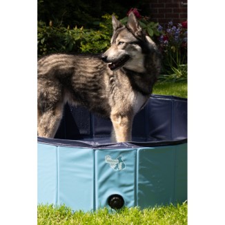 Piscine pour chien CoolPets Splash - Rafraîchissement estival