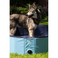 Piscine pour chien CoolPets Splash - Rafraîchissement estival