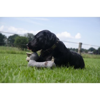 Country Dog Original Chanceux - 35x18x6 cm