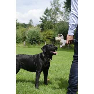 Country Dog Original Chanceux - 35x18x6 cm