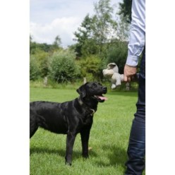 Country Dog Original Chanceux - Peluche Cochon Porte-Bonheur
