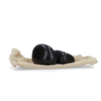 Cozy Dog Pierres Rechange - Recharges Chauffantes Micro-Ondes
