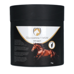 Excellent Horse Glucosamine + MSM 1 kg | Professionnel