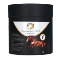 Excellent Horse Glucosamine + MSM 1 kg | Professionnel
