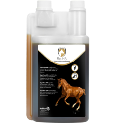 Excellent Cheval Flex HA | Professionnel