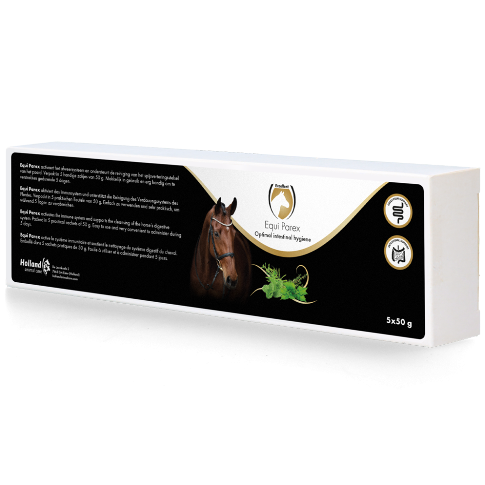 Excellent Cheval Parex | Professionnel