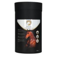 Excellent Horse Prebiotics 2.5 kg Description: Exc | Professionnel