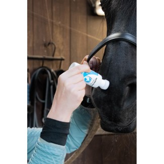Désodorisant pour Chevaux Excellent Spons-On 75 ml