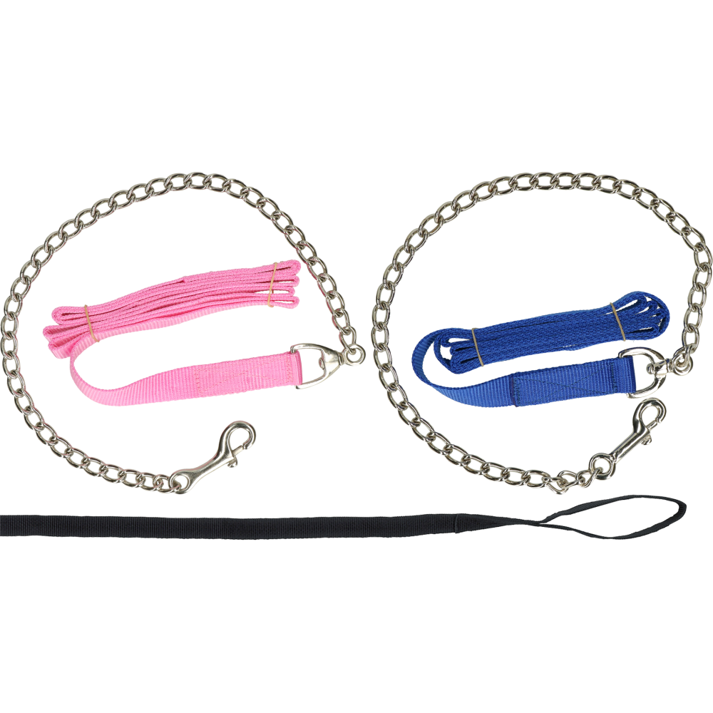 Longe avec chaîne noire 250 cm pour Cheval