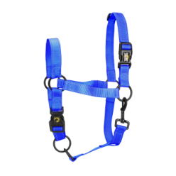 Excellent Premium Licou Bleu XS - Idéal pour votre cheval