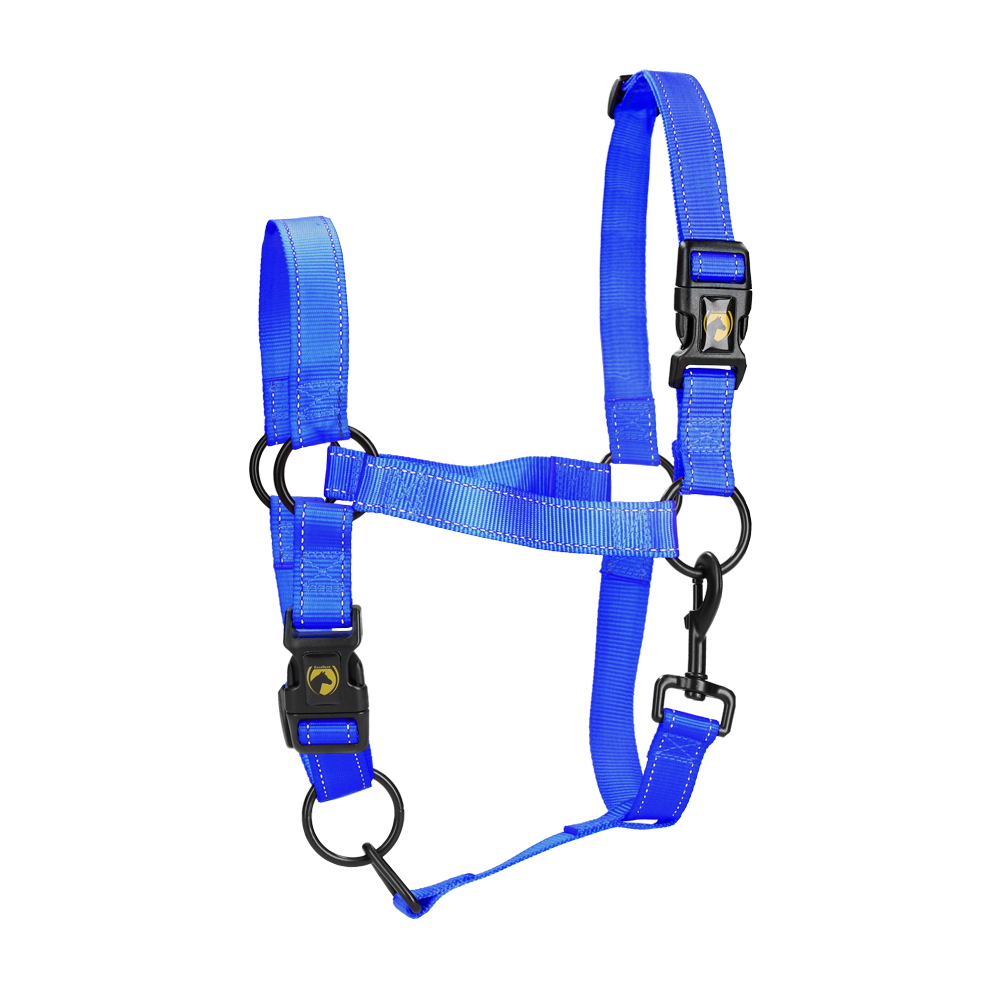 Excellent Premium Licou Bleu XS - Idéal pour votre cheval