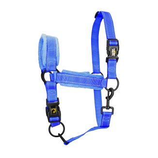 Licol Bleu XS Excellent - Dimensions: 23x26x5 cm