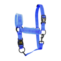 Licol Bleu XS Excellent - Dimensions: 23x26x5 cm