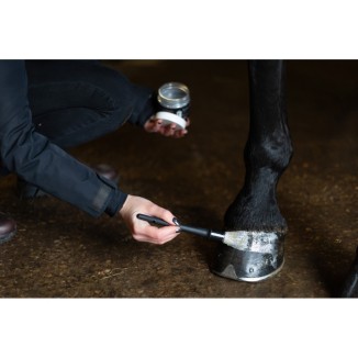 Excellent Horse Hi Gloss Glitter Hoof Polish 150 m | Professionnel