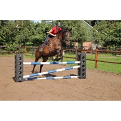 Cube d'Alimentation Excellent Horse pour Cheval