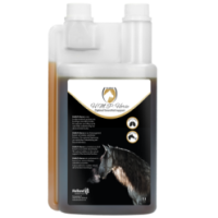 Excellent Horse H.M.P. Liquide 1 L - Pour un cheval en pleine forme