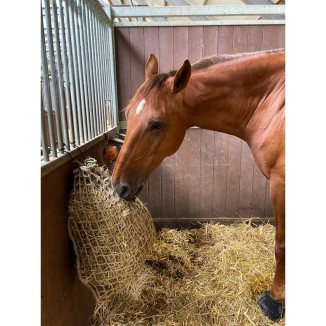 Filet ralentisseur de foin 2,5 kg pour cheval