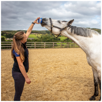 Délicieux Horslyx Mini Original – 650 g GB