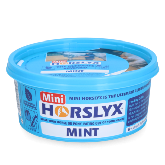 Horslyx Mini Menthe | Professionnel
