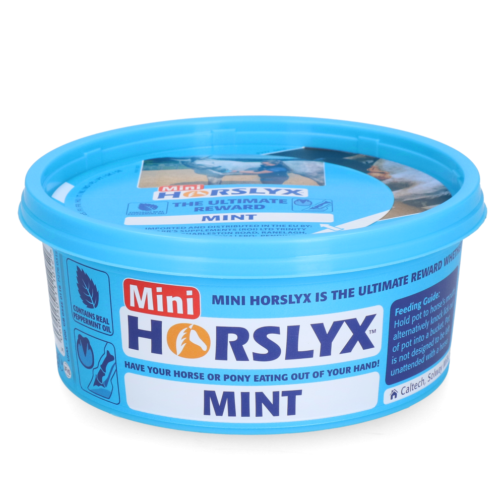 Horslyx Mini Menthe | Professionnel
