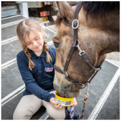 Horslyx Mini Ail | Professionnel