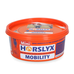Horslyx Mobilité | Professionnel