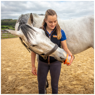 Horslyx Mini Mobilité: Booste la santé des chevaux (650g)
