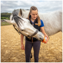 Horslyx Mobilité | Professionnel