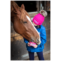 Horslyx Mini Digest | Professionnel