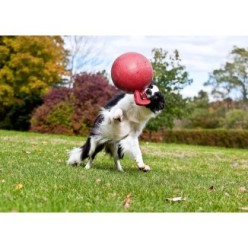 Jolly Tug-n-Toss - Balle Poignée Traction Lancer Chien