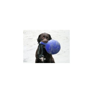 Jouet Jolly Tug-n-Toss Rouge M pour Chien