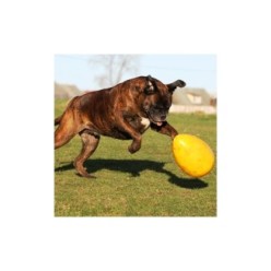 Jouet Jolly Egg Jaune S pour Chien (20 cm)