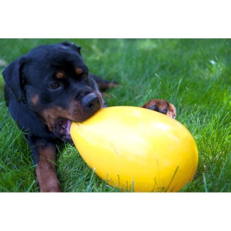 Jouet Jolly Egg Jaune S pour Chien (20 cm)