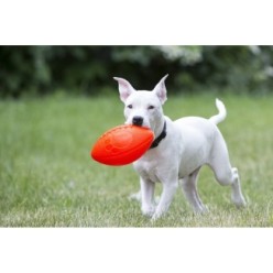 Jouet pour chien Jolly Football Vanille