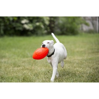 Jouet pour chien Jolly Football Vanille
