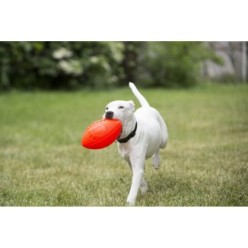 Jouet pour chien Jolly Football Vanille